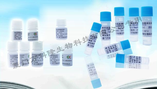 幽門(mén)螺旋桿菌(UreA)重組抗原